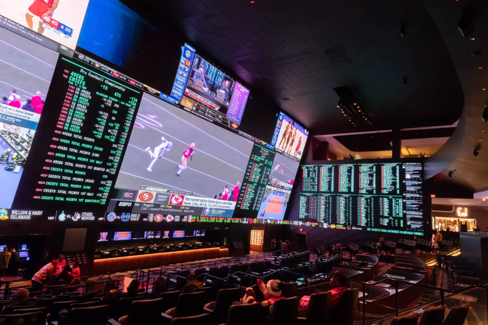 Discover the Thrilling World of Habesha Bet Your Ultimate Betting Experience Discover the Thrilling World of Habesha Bet Your Ultimate Betting Experience